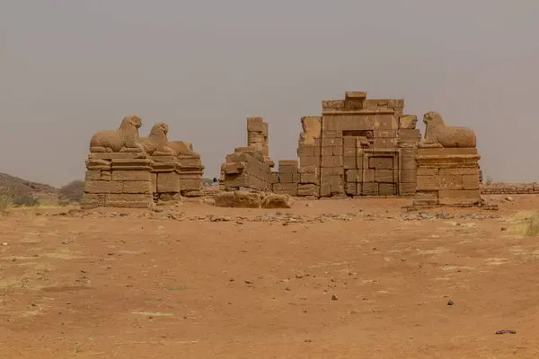 Columnata Carneros Templo Amón Naqa Sudán — Foto de Stock