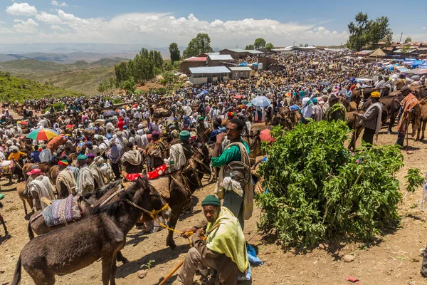 Lalibela Etiopia Marca 2019 Osły Sobotnim Targu Lalibeli Etiopia — Zdjęcie stockowe