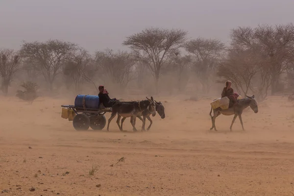 État River Nile Soudan Mars 2019 Des Villageois Voyageant Avec — Photo