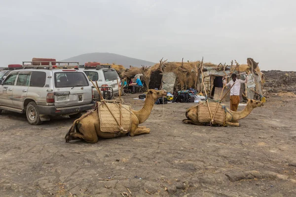 Afar Ethiopia March 2019 Cars Camels Dodom Village Erta Ale — Stock Photo, Image