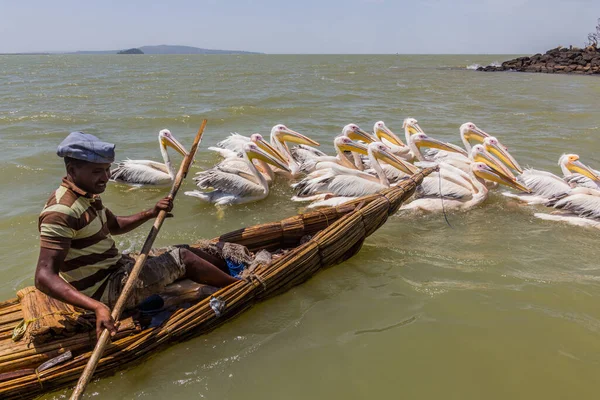Tana Ethiopia April 2019 Local Fisherman Small Boat Great White — Stock Photo, Image