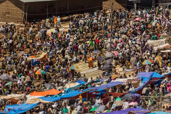 Lalibela Etiopie Března 2019 Dav Sobotním Trhu Lalibele Etiopie — Stock fotografie