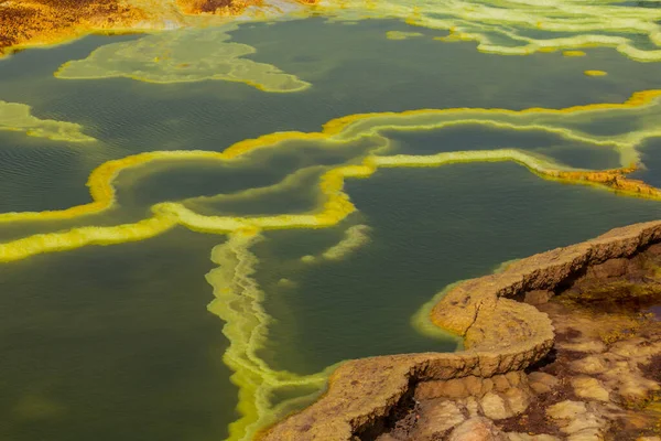 Detail Colorful Sulfuric Lakes Dallol Volcanic Area Danakil Depression Ethiopia — Stock Photo, Image