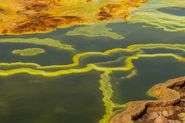 Szczegóły Kolorowych Jezior Siarkowych Dallol Wulkanicznych Danakil Depresji Etiopia — Zdjęcie stockowe