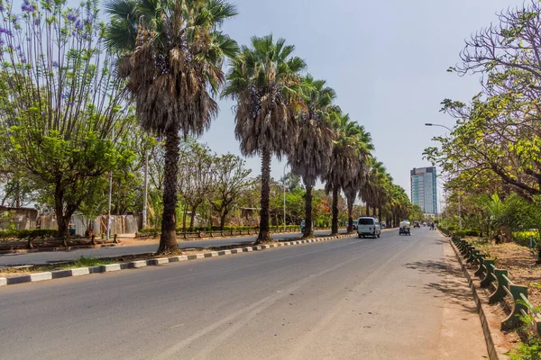Avenida Con Palmeras Bahir Dar Etiopía — Foto de Stock