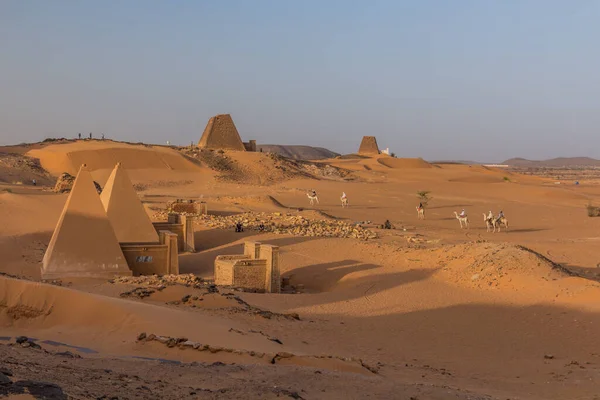 Místní Velbloudech Poblíž Pyramid Meroe Súdán — Stock fotografie
