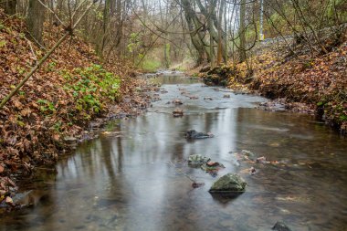 Çek Cumhuriyeti Prag 'daki Dalejsky potok akıntısının sonbahar manzarası