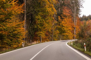 I11 yolunun sonbahar manzarası, Çek Cumhuriyeti