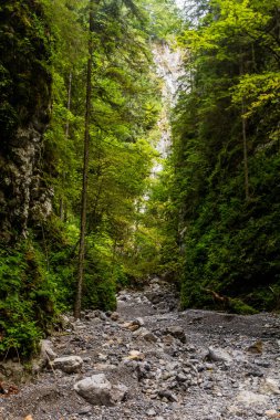 Slovakya 'nın Nizke Tatry dağlarındaki Huciaky vadisi