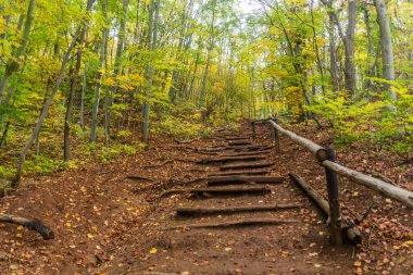 Çek Cumhuriyeti, Cesky Kras doğa koruma alanında yürüyüş yolu