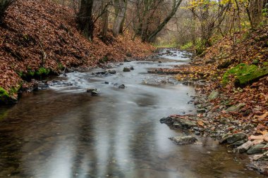Çek Cumhuriyeti Prag 'daki Dalejsky potok akıntısının sonbahar manzarası
