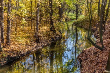 Çek Cumhuriyeti Prag 'daki Botic akışının sonbahar manzarası