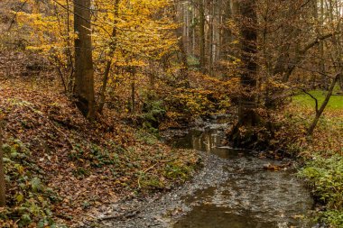 Çek Cumhuriyeti 'nin Prag kentindeki Kunraticky Potok deresinin sonbahar manzarası