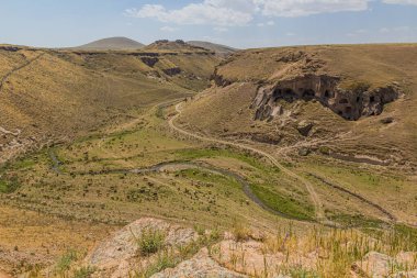Antik Ani kenti yakınlarındaki Tsaghkotsadzor (Alaca cay) vadisinde bir inek sürüsünün hava manzarası