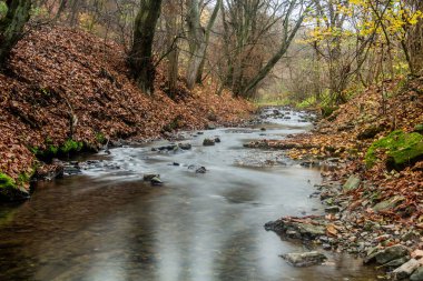 Çek Cumhuriyeti Prag 'daki Dalejsky potok akıntısının sonbahar manzarası