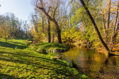 Çek Cumhuriyeti Prag 'daki Botic akışının sonbahar manzarası
