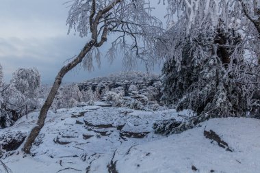 Çek Cumhuriyeti 'nde Tiske Steny kayalarının kış manzarası