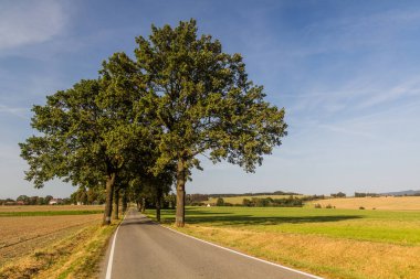 Çek Cumhuriyeti Tabor yakınlarındaki kırsal yol