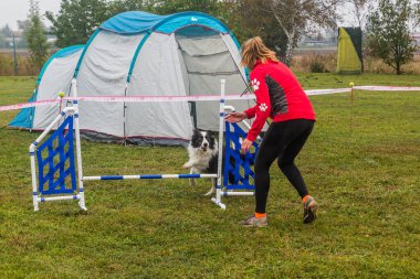 LYSA NAD LABEM, CZECH REPUBLIC - 28 Eylül 2020: Çek Cumhuriyeti Lysa nad Labem 'de çeviklik yarışması sırasında bir hurdlee üzerinden atlayan köpek ve bir idareci