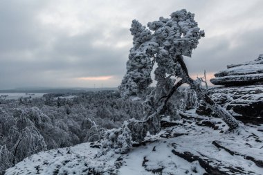 Çek Cumhuriyeti 'nde Tiske Steny kayalarının kış manzarası