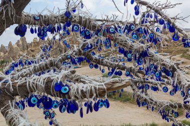 Kapadokya 'nın Goreme kasabası yakınlarındaki bir ağaca nazar boncuğu takıldı