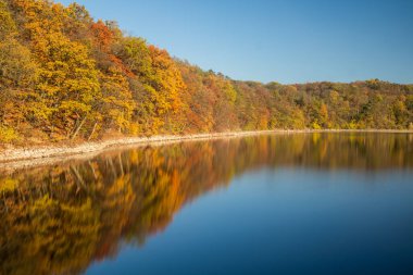 Çek Cumhuriyeti Prag 'da Vodni nadrz (rezervuar) Hostivar' ın sonbahar manzarası