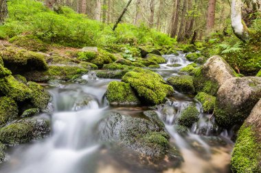Slovakya 'nın Nizke Tatry dağlarında küçük bir dere
