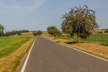 Çek Cumhuriyeti Tabor yakınlarındaki kırsal yol