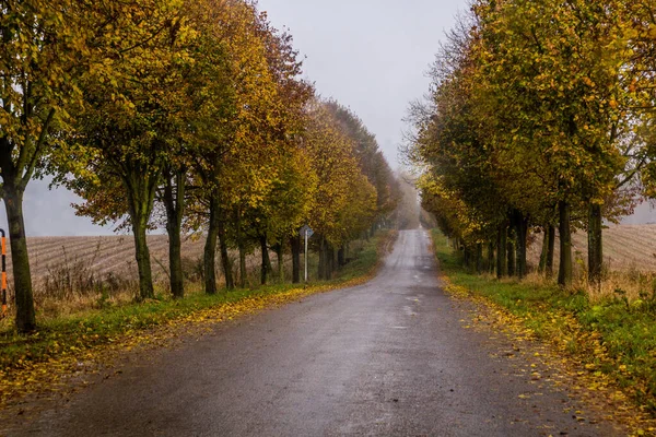 Herbst Ansicht Einer Landstraße Der Tschechischen Republik — Stockfoto