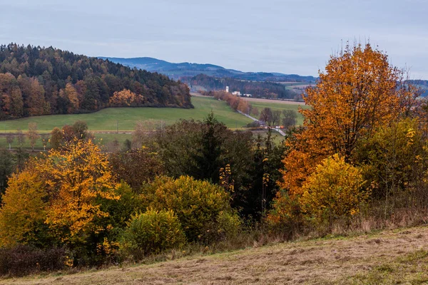 Vista Otoño Paisaje Cerca Letohrad República Checa — Foto de Stock