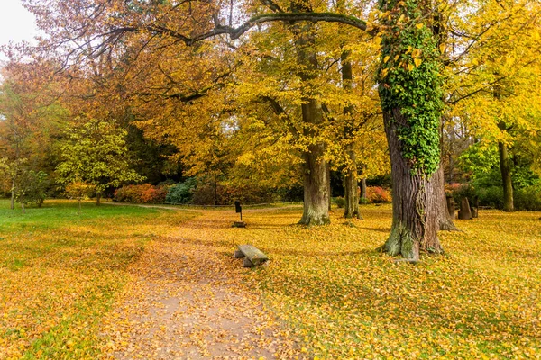 Осенний Вид Сад Дворца Кастоловице Чехия — стоковое фото