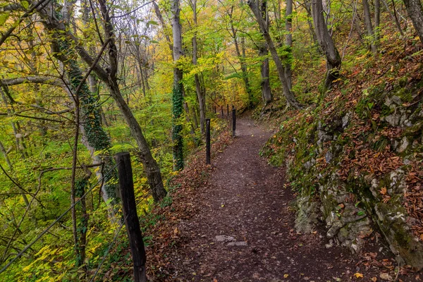 Trilha Caminhada Parque Paisagístico Cesky Kras República Checa — Fotografia de Stock