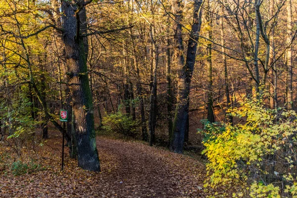 Podzimní Pohled Lesní Cestu Přírodní Památkovou Značkou Kunratickém Lese Praze — Stock fotografie