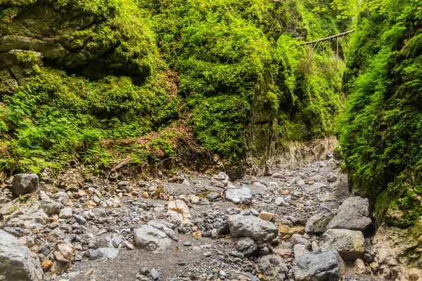 Garganta Huciaky Las Montañas Nizke Tatry Eslovaquia —  Fotos de Stock