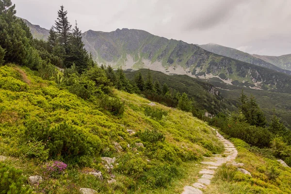 ニジケ タトリー山脈 スロバキアのハイキングコース — ストック写真
