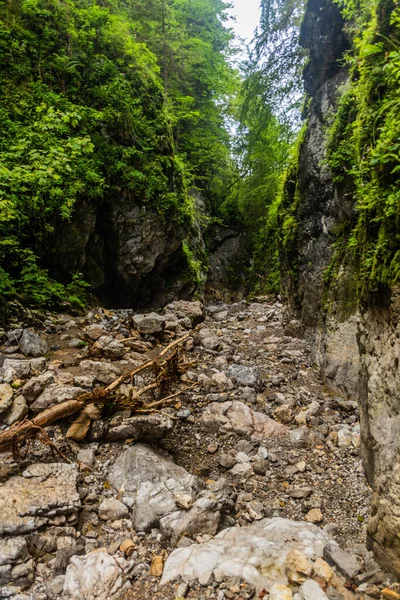 Huciaky Gorge Nizke Tatry Montagne Slovacchia — Foto Stock