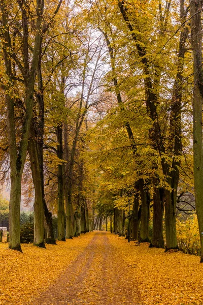 Открытый Вид Тропу Деревне Потштейн Чешская Республика — стоковое фото