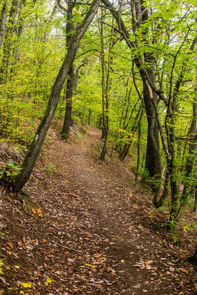 Trilha Caminhadas Cesky Kras Área Protegida Pela Natureza República Checa — Fotografia de Stock