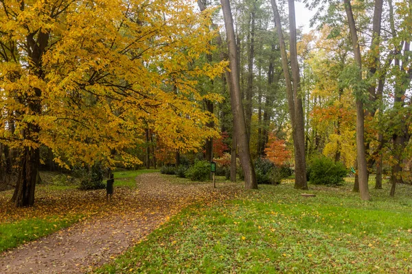 Çek Cumhuriyeti Nin Castolovice Kentindeki Bir Saray Bahçesinin Sonbahar Manzarası — Stok fotoğraf