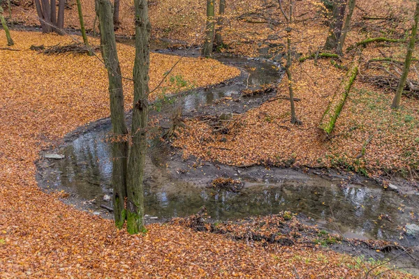 Herbst Ansicht Des Kunraticky Potok Bach Prag Tschechische Republik — Stockfoto