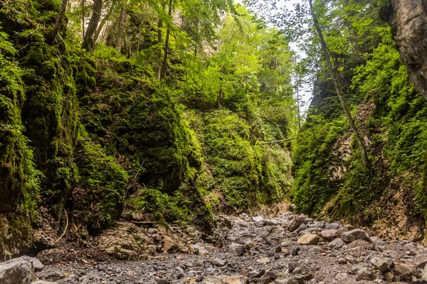 Gorge Huciaky Dans Les Montagnes Nizke Tatry Slovaquie — Photo