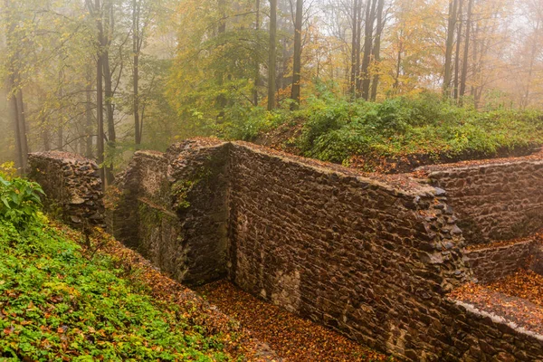 Otoño Vista Las Ruinas Del Castillo Potstejn República Checa — Foto de Stock