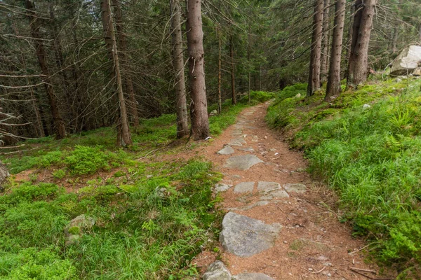 Wandelpad Nizke Tatry Gebergte Slowakije — Stockfoto