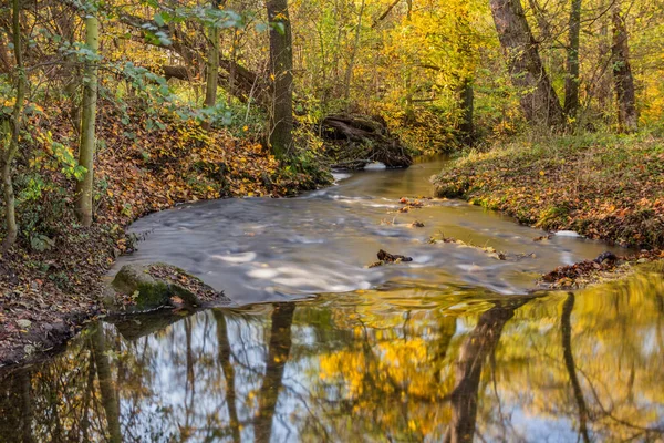 Autumn View Botic Stream Prague Czech Republic — Stock Photo, Image