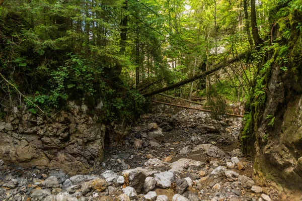 Slovakya 'nın Nizke Tatry dağlarındaki Huciaky vadisi