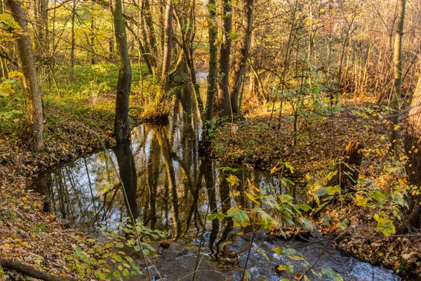 Autumn View Botic Stream Prague Czech Republic — Stock Photo, Image