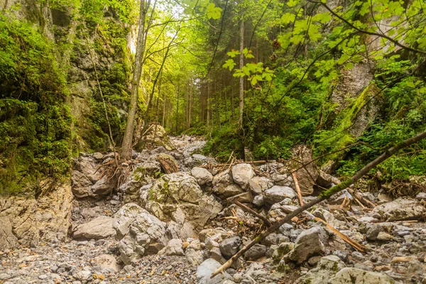 Huciaky Valley Nizke Tatry Mountains Slovakia — Stock Photo, Image