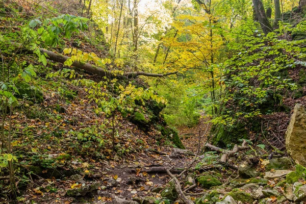 Paesaggio Cesky Kras Area Naturale Protetta Repubblica Ceca — Foto Stock