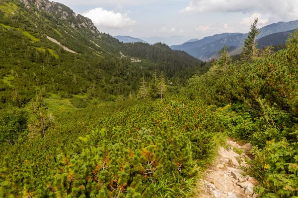 ニズケタトリー山脈 スロバキアのSiroka Dolina渓谷の風景 — ストック写真