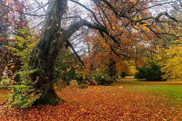 捷克共和国赞伯克宫殿花园的秋景 — 图库照片